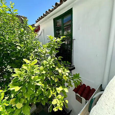 Espectacular Casa Cordobesa Cordoba