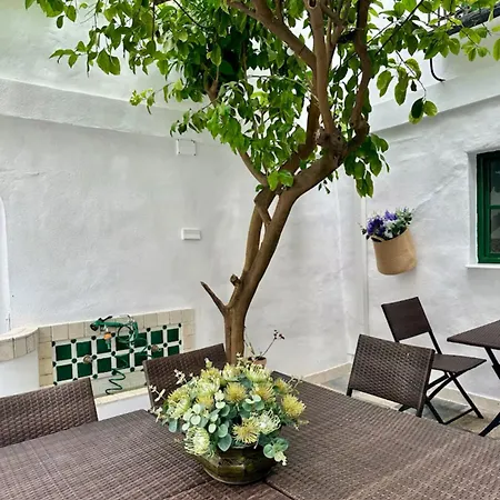 Espectacular Casa Cordobesa Holiday home